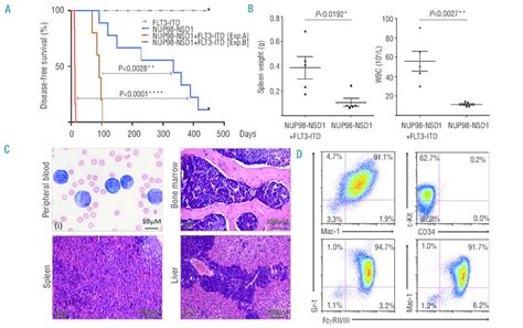 aml survival rate|NUP98::NSD1 and FLT3/ITD co.